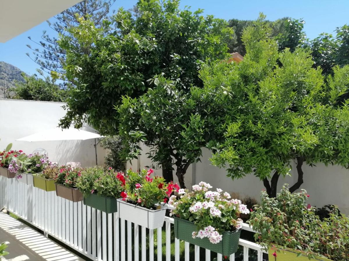 فيلا Mondello Beach The House With Green Lawns المظهر الخارجي الصورة