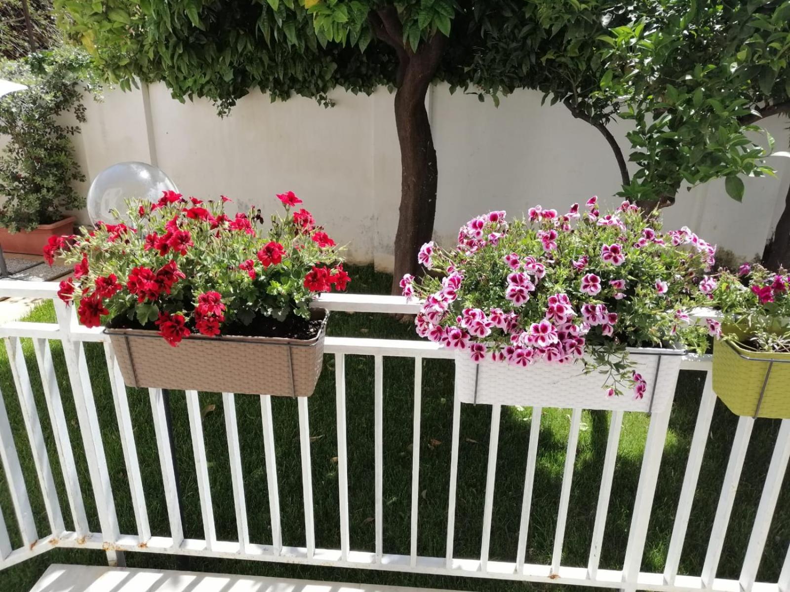 فيلا Mondello Beach The House With Green Lawns المظهر الخارجي الصورة